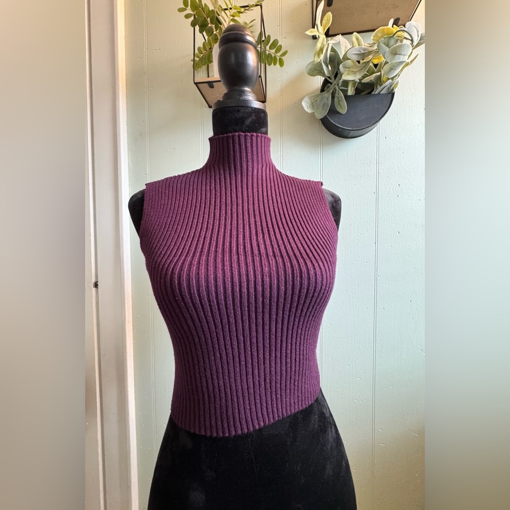 Zara Women's Ribbed Plum Turtleneck Sweater